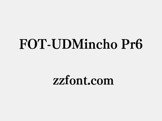 FOT-UDMincho Pr6