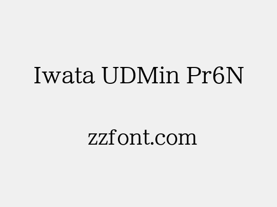 Iwata UDMin Pr6N