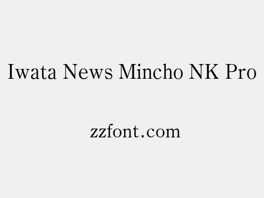 Iwata News Mincho NK Pro