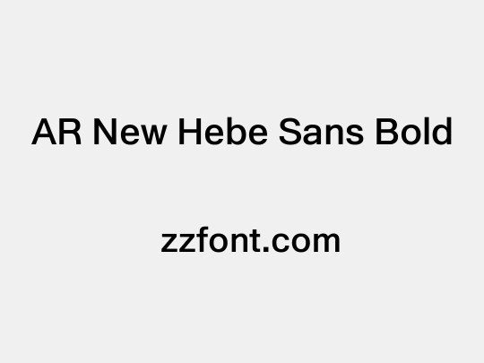 AR New Hebe Sans Bold