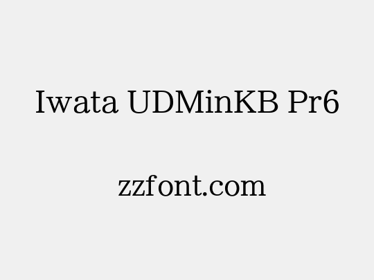 Iwata UDMinKB Pr6