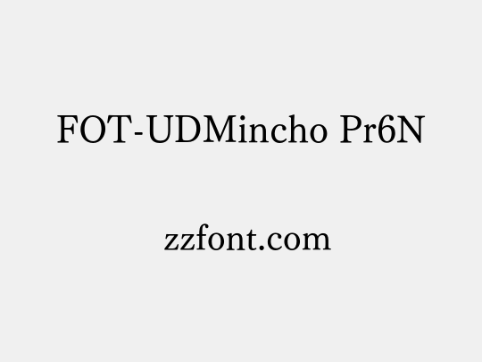 FOT-UDMincho Pr6N