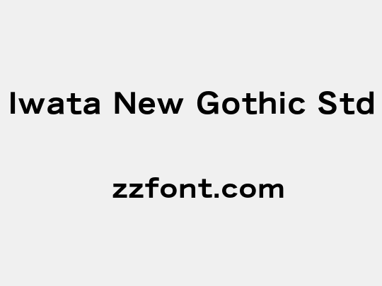 Iwata New Gothic Std