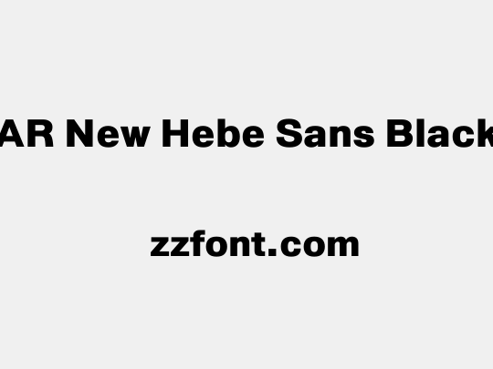 AR New Hebe Sans Black