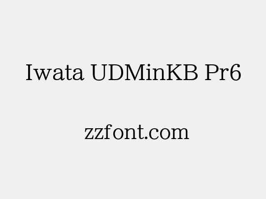 Iwata UDMinKB Pr6