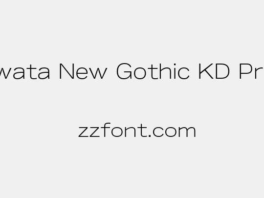 Iwata New Gothic KD Pro