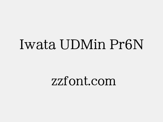 Iwata UDMin Pr6N