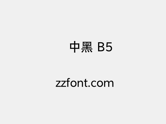 汉仪中黑 B5