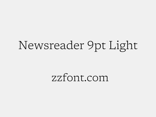 Newsreader 9pt Light