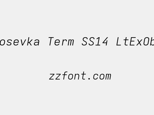 Iosevka Term SS14 LtExObl