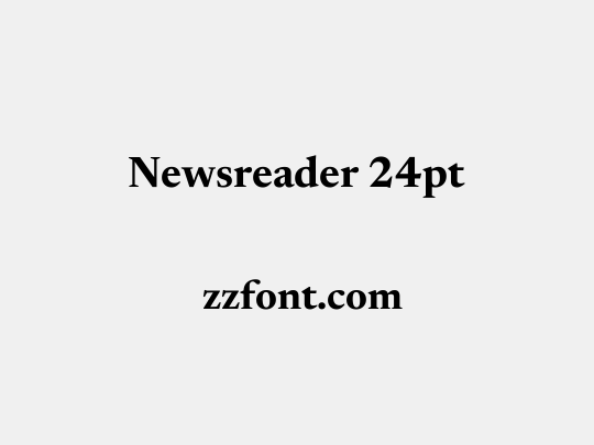 Newsreader 24pt