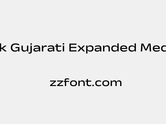 Anek Gujarati Expanded Medium