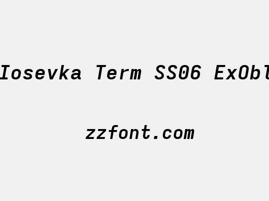 Iosevka Term SS06 ExObl