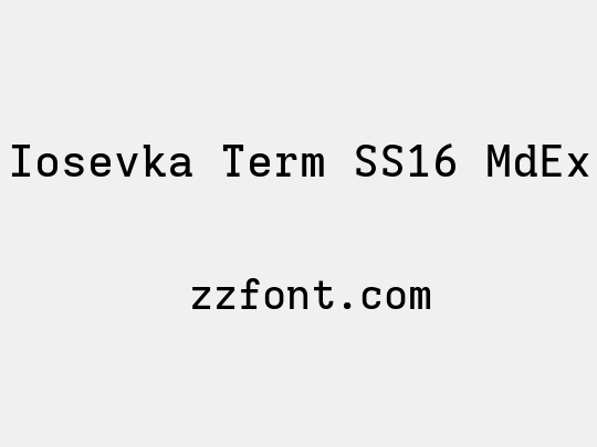 Iosevka Term SS16 MdEx