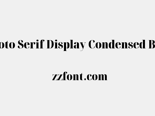 Noto Serif Display Condensed Black