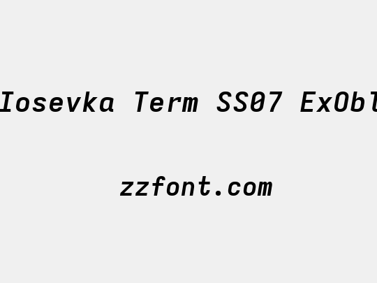 Iosevka Term SS07 ExObl