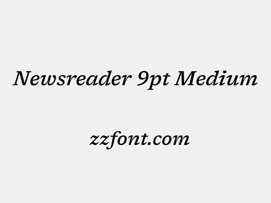 Newsreader 9pt Medium