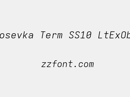 Iosevka Term SS10 LtExObl