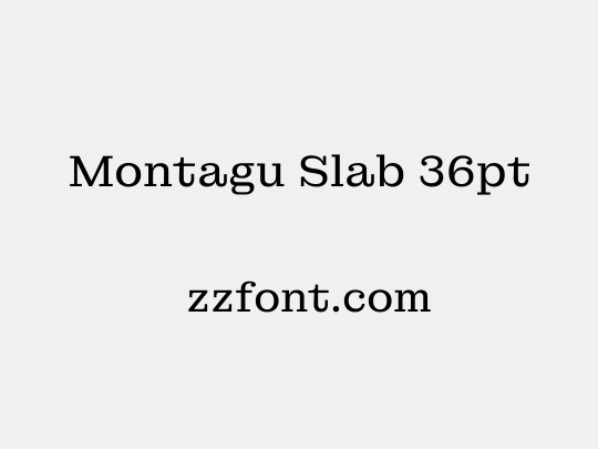 Montagu Slab 36pt