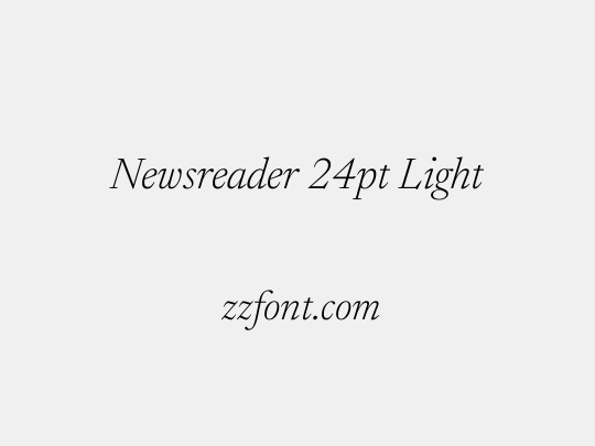 Newsreader 24pt Light