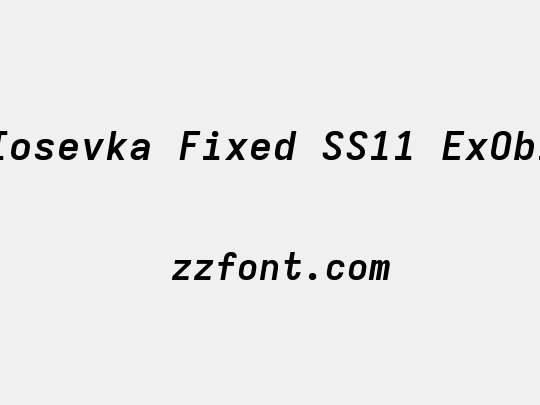 Iosevka Fixed SS11 ExObl