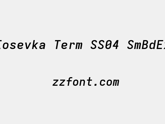 Iosevka Term SS04 SmBdEx