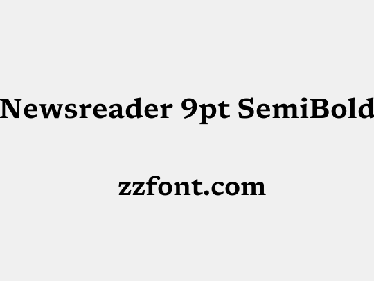 Newsreader 9pt SemiBold