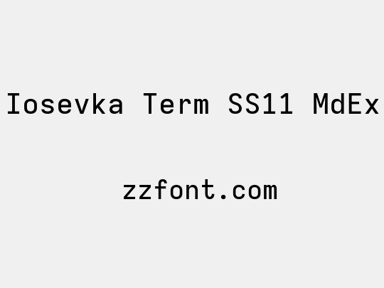 Iosevka Term SS11 MdEx