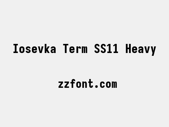 Iosevka Term SS11 Heavy