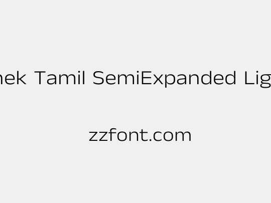 Anek Tamil SemiExpanded Light