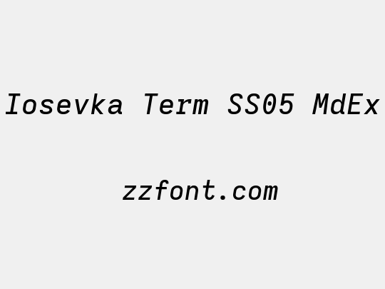 Iosevka Term SS05 MdEx