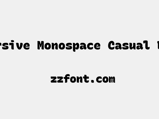 Recursive Monospace Casual Black