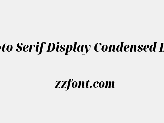 Noto Serif Display Condensed Black