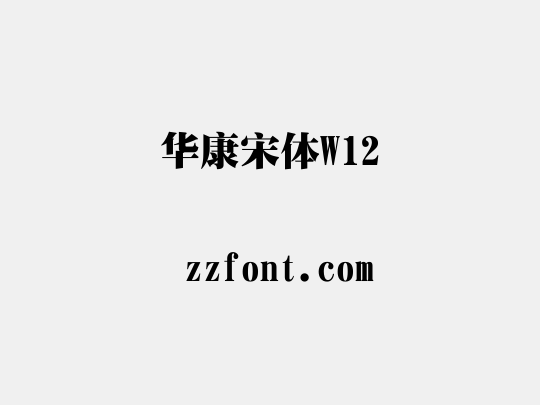 华康宋体W12