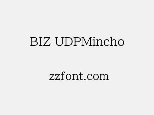 BIZ UDPMincho