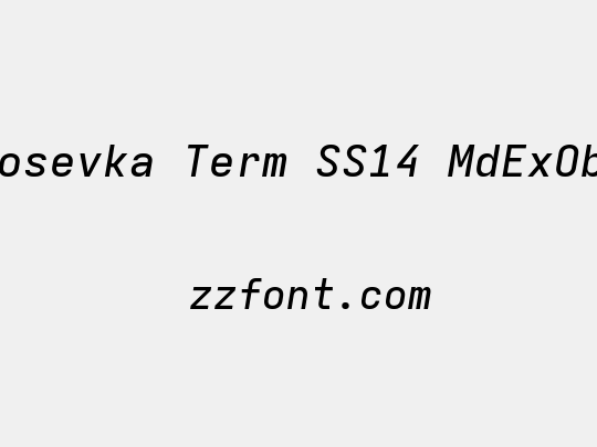 Iosevka Term SS14 MdExObl