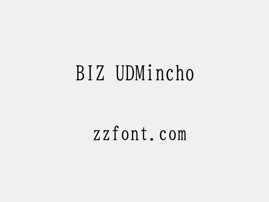 BIZ UDMincho