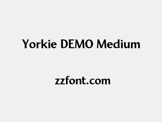 Yorkie DEMO Medium