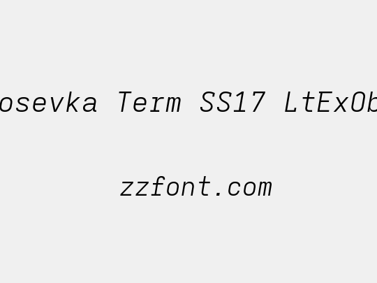 Iosevka Term SS17 LtExObl