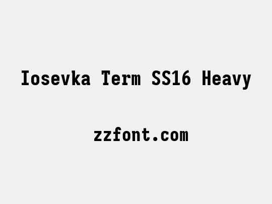 Iosevka Term SS16 Heavy