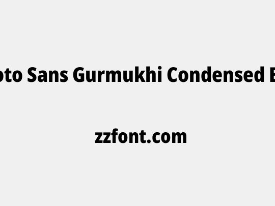 Noto Sans Gurmukhi Condensed Black