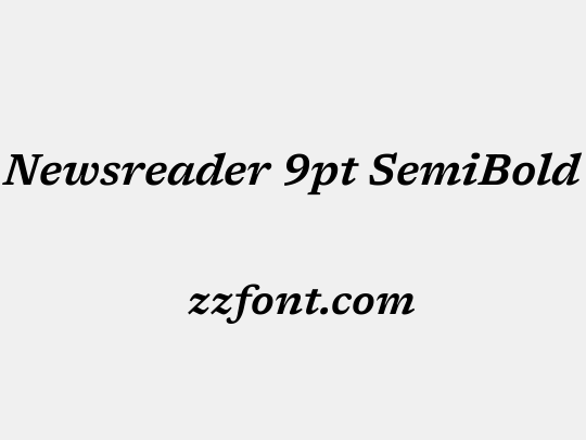 Newsreader 9pt SemiBold