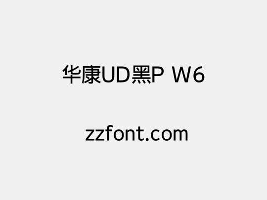 华康UD黑P W6