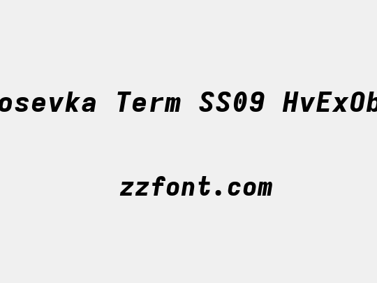 Iosevka Term SS09 HvExObl