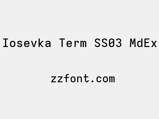 Iosevka Term SS03 MdEx