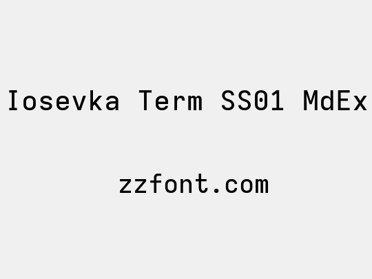 Iosevka Term SS01 MdEx