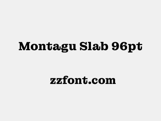 Montagu Slab 96pt