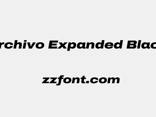 Archivo Expanded Black