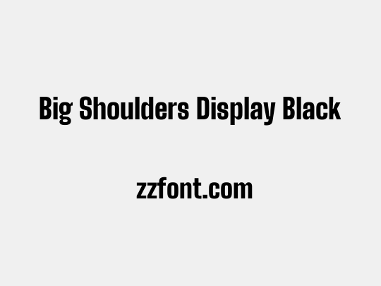 Big Shoulders Display Black