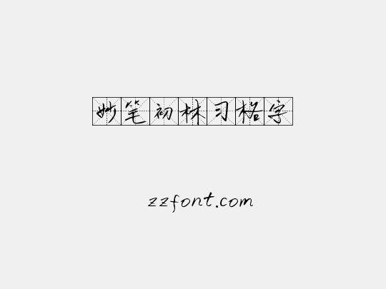 妙笔初林习格字